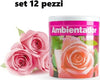 Set-12-Deodoranti-Barattolo-Profumo-Ambiente-Assorbi-Odori-Fragranza-Rosa