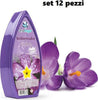 Set 12 Deodoranti Gel Profumo Ambiente Assorbi Odori Fragranza Viola Casa, arredamento e bricolage > Accessori Casa > Diffusore Ambiente Trade Shop italia - Napoli, Commerciovirtuoso.it