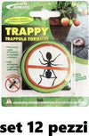 Set-12-Pezzi-Esca-Insetticida-Antiformiche-Trappola-Contro-Formiche-Trappy