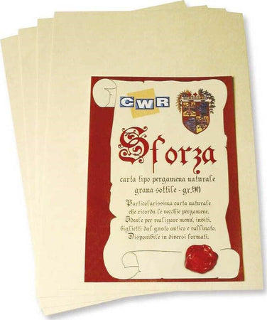 Set 12 Pezzi Pergamena Pergamene Sforza Avorio Carta 21x29,7cm Inviti Biglietti Casa e cucina/Hobby creativi/Materiali per hobby creativi/Forniture per feste/Bomboniere Trade Shop italia - Napoli, Commerciovirtuoso.it