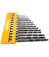 Set 13 Punte Esagonale Trapano Avvitatore Inserti Titanio Attacco 1/4 1,5-6,5mm