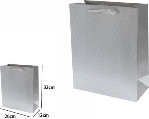 Set 2 Borse Buste Regalo Shopper Grigia Goffrata Manico Tessuto 32x26x12cm 69933 Casa, arredamento e bricolage > Prodotti per Feste Trade Shop italia - Napoli, Commerciovirtuoso.it