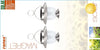 SET 2 LANTERNE SOLARI LED ARGENTO 16,5X16,5X22,5 CM Illuminazione/Illuminazione per esterni/Lanterne Scontolo.net - Potenza, Commerciovirtuoso.it