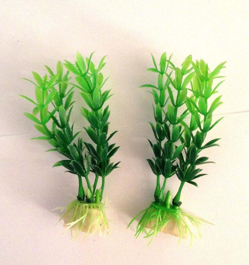 Set 2 Pianta 10 Cm Piantina Artificiale Per Acquario Piante Finte Plastica 2x Pz Prodotti per animali > Prodotti per Acquari > Decorazioni Acquario Trade Shop italia - Napoli, Commerciovirtuoso.it