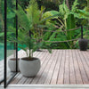 Set 2 Vasi Brush Bianchi Ciotole in Fibra Di Vetro Piante Fiori Giardino Giardino e giardinaggio/Attrezzi da giardino e attrezzature per l'irrigazione/Vasi e accessori per piante/Vasi tradizionali Decor Space - Altamura, Commerciovirtuoso.it