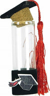 Set 24 Bomboniere Ampolla Laurea 2x9cm Vetro Tappo Sughero Con Cappello Confetti Casa e cucina/Hobby creativi/Materiali per hobby creativi/Forniture per feste/Bomboniere Trade Shop italia - Napoli, Commerciovirtuoso.it