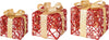 Set 3 pacchi regalo in resina luminoso color oro e rosso per uso interno ed esterno Casa e cucina/Decorazioni per interni/Addobbi e decorazioni per ricorrenze/Decorazioni natalizie/Luci natalizie/Catene luminose per esterni MagiediNatale.it - Altamura, Commerciovirtuoso.it