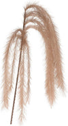 Set 3 Rami con Piume Marrone Chiaro per decorazioni Interne ed Esterne h 130 cm Casa e cucina/Decorazioni per interni/Addobbi e decorazioni per ricorrenze/Decorazioni natalizie/Ghirlande e corone MagiediNatale.it - Altamura, Commerciovirtuoso.it
