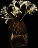 Set 3 rami luminosi 180 nanled bianco caldo luce fissa h 55 cm uso interno ed esterno Casa e cucina/Decorazioni per interni/Addobbi e decorazioni per ricorrenze/Decorazioni natalizie/Luci natalizie/Catene luminose per interni MagiediNatale.it - Altamura, Commerciovirtuoso.it