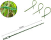 Set 30 Pz Fascette Bordi Seghettati Fascetta Per Piante Da 23cm Regolabili 56873 Fai da te/Materiale elettrico/Gestione del cavo/Stringicavi Trade Shop italia - Napoli, Commerciovirtuoso.it