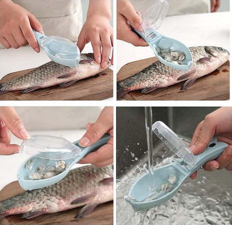 Set 3pz Squamatore Pesci Raschietto Plastica Squame Pesce Casa Cucina Ristorante Casa, arredamento e bricolage > Cucina > Utensili Cucina Trade Shop italia - Napoli, Commerciovirtuoso.it