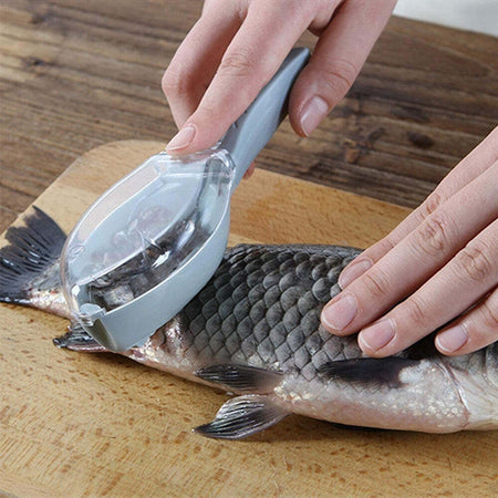 Set 3pz Squamatore Pesci Raschietto Plastica Squame Pesce Casa Cucina Ristorante Casa, arredamento e bricolage > Cucina > Utensili Cucina Trade Shop italia - Napoli, Commerciovirtuoso.it