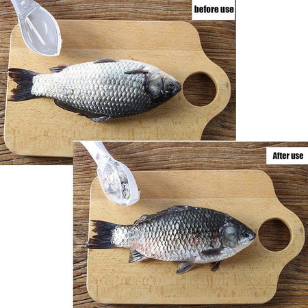 Set 3pz Squamatore Pesci Raschietto Plastica Squame Pesce Casa Cucina Ristorante Casa, arredamento e bricolage > Cucina > Utensili Cucina Trade Shop italia - Napoli, Commerciovirtuoso.it