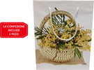 Set 4pz Buste Busta Regalo Mimosa 18x7x14cm Borsa Idea Regalo Festa Della Donna Casa e cucina/Hobby creativi/Articoli per confezioni regalo/Sacchetti da regalo Trade Shop italia - Napoli, Commerciovirtuoso.it