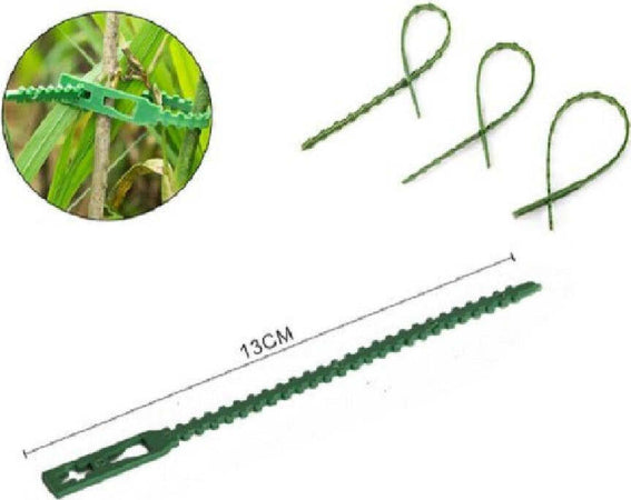 Set 50pz Fascette Bordi Seghettati Fascetta Per Piante Da 13 Cm Regolabili 56871 Fai da te/Materiale elettrico/Gestione del cavo/Stringicavi Trade Shop italia - Napoli, Commerciovirtuoso.it