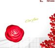 Set 6 Pz Rosa Rose In Plastica Luminoso Decorazione Luce San Valentino 6cm 84932 Casa e cucina/Decorazioni per interni/Piante e fiori artificiali/Fiori artificiali Trade Shop italia - Napoli, Commerciovirtuoso.it