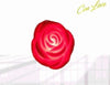 Set 6 Pz Rosa Rose In Plastica Luminoso Decorazione Luce San Valentino 6cm 84932 Casa e cucina/Decorazioni per interni/Piante e fiori artificiali/Fiori artificiali Trade Shop italia - Napoli, Commerciovirtuoso.it