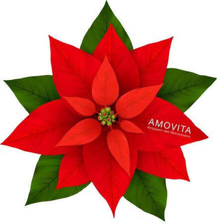 Set-bagno-Amovita-Veravita-Stella-di-Natale-100-ml-+-50-ml