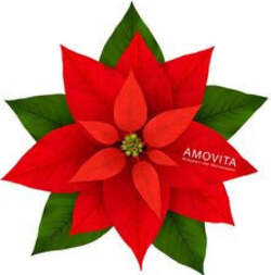 Set-bagno-Amovita-Veravita-Stella-di-Natale-100-ml-+-50-ml