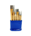 Set Da 6 Pezzi Punzoni Caccia Spine In Acciaio Chrome Vanadium Con Contenitore