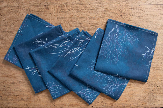 Set Di 6 Tovaglioli Da Tavola In Stoffa 45 X 45 Cm 100% Cotone Stampa Digitale Dai Colori Vivi Ed Intensi Lavabili In Lavatrice Made In Italy Mare Profondo Casa e cucina/Tessili per la casa/Tessili da cucina/Tovaglioli Novilunio - Sesto San Giovanni, Commerciovirtuoso.it