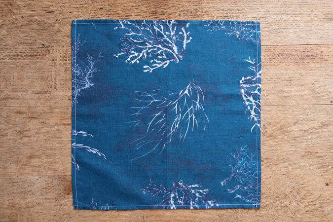 Set Di 6 Tovaglioli Da Tavola In Stoffa 45 X 45 Cm 100% Cotone Stampa Digitale Dai Colori Vivi Ed Intensi Lavabili In Lavatrice Made In Italy Mare Profondo Casa e cucina/Tessili per la casa/Tessili da cucina/Tovaglioli Novilunio - Sesto San Giovanni, Commerciovirtuoso.it