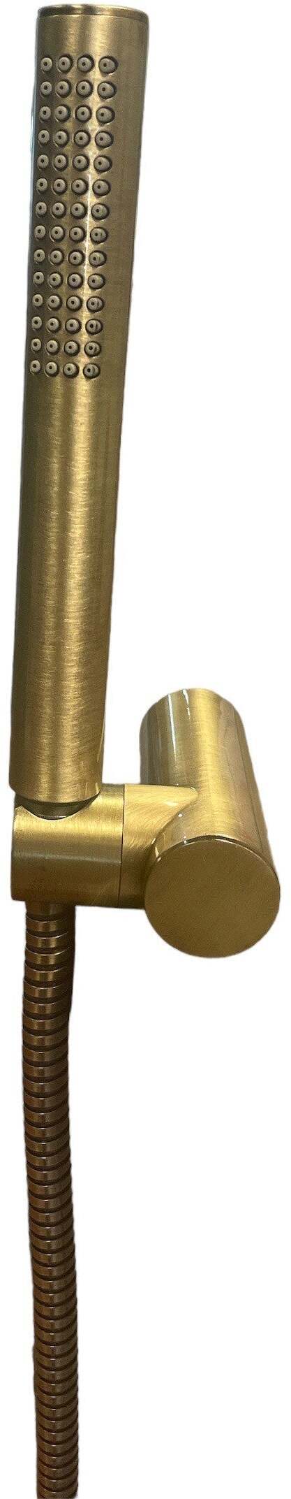 Set doccia bronzo, vecchio ottone con supporto doccia e flessibile
