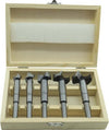 Set-Kit-5-Frese-Fresa-Punte-Per-Pantografo-Verticale-Legno-8mm-15/20//25/30/35