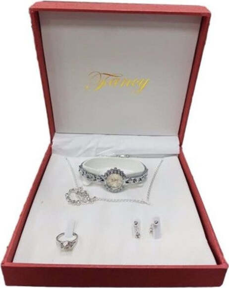 Set-Regalo-Per-Donna-Orologio-Orecchini-Collana-Anello-In-Cofanetto-Elegante