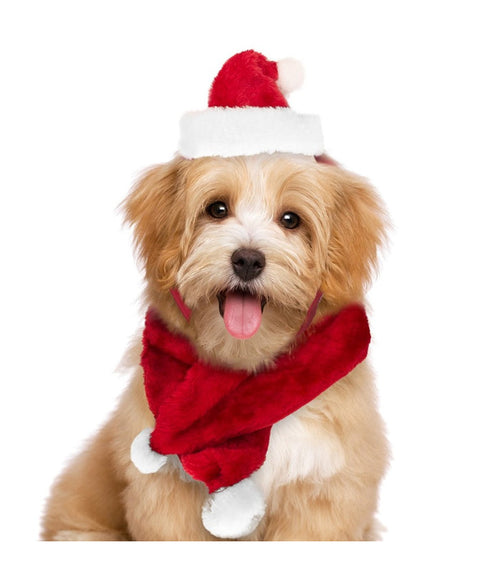 Set Sciarpa Cappello Babbo Natale Per Cani Gatti Di Piccola Taglia Rosso