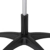 Sgabello-Estetista-Girevole-Seduta-Imbottita-10cm-in-Ecopelle-Salone-Studio-Nero