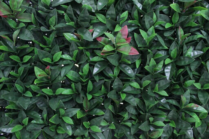 Siepe-artificiale-foglia-grande-100x25x75-Verde-Milani-Home