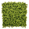Siepe artificiale Lichene per esterno e giardino da 50 x 50 cm
