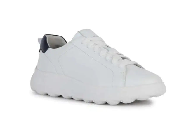 Sneaker Geox - sneaker basse