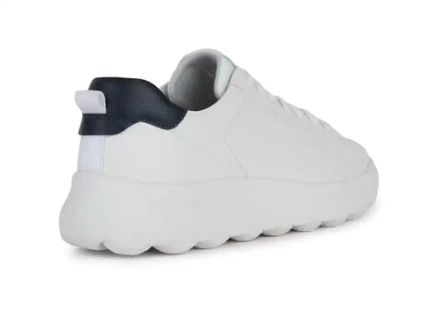 Sneaker Geox - sneaker basse