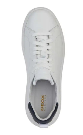 Sneaker Geox - sneaker basse