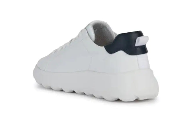 Sneaker Geox - sneaker basse