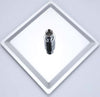 Soffione-Doccia-Quadrato-in-inox-ugelli-anticalcare-20-25-30-40