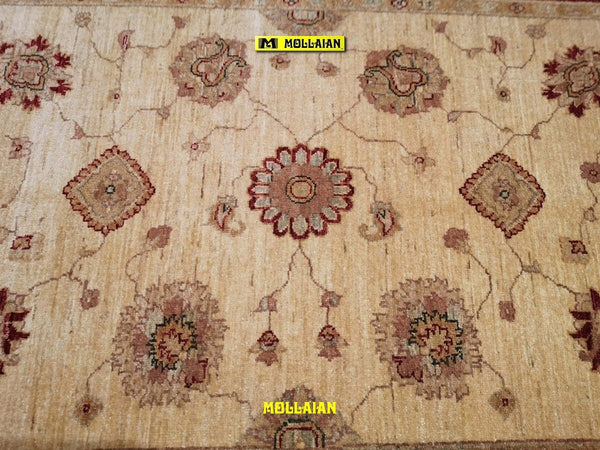 Soltanabad Extra Gold 170x120 Casa e cucina/Tessili per la casa/Tappeti e tappetini/Tappeti Mollaian Tappeti - Lecce, Commerciovirtuoso.it
