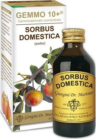SORBO-ANALCO-GEMMO-10+-100-ML