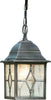 Sospensione-Vintage---Decò-Genova-Alluminio-Nero-Vetro-Argento-1-Luce-E27