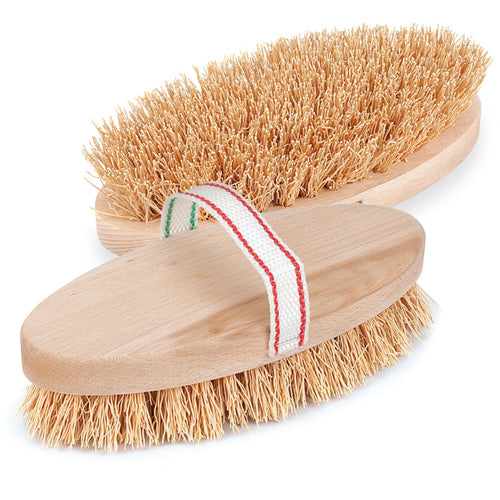 Spazzola per cavalli con setole in radica e manico in legno 22 cm