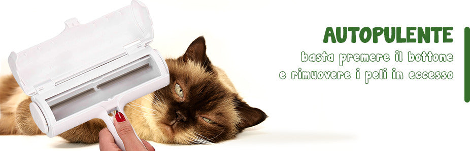 DOINEUFL Guanto magnetico per peli, Rimuovi peli di animali riutilizzabile e Rimuovi peli di animali per cani e gatti, Guanto magnetico per peli per rimuovere i peli di animali da vestiti, divano DOINEUFL Guanto magnetico per peli, Rimuovi peli di animali riutilizzabile e Rimuovi peli di animali per cani e gatti, Guanto magnetico per peli per rimuovere i peli di animali da vestiti, divano