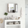 Specchiera-Bagno-con-Luci-LED-Regolabili,-2-Ante-e-Mensola-Regolabile,-70x15x65cm,-Marrone-YH9834-442YH9