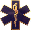 Spilla Esculapio Media Distintivo in Metallo Chiusura Con Clip Sport e tempo libero/Accessori/Trofei medaglie e premi/Placche Il Distintivo - Pesaro, Commerciovirtuoso.it