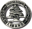 Spilla Italfor Leonte Libano in Metallo Con Clip Sport e tempo libero/Accessori/Trofei medaglie e premi/Placche Il Distintivo - Pesaro, Commerciovirtuoso.it