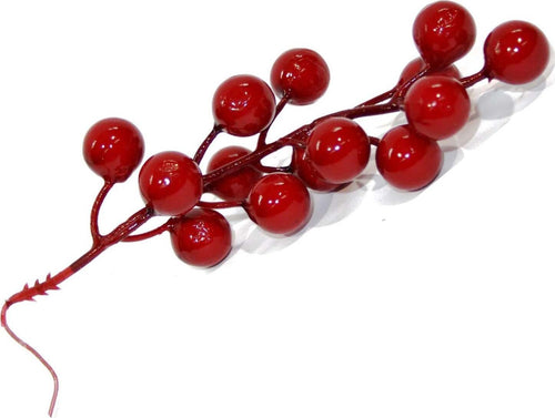 Spillone chiudi pacco con bacche rosse addobbi per Alberi e Ghirlande natalizie 6 pezzi Casa e cucina/Decorazioni per interni/Addobbi e decorazioni per ricorrenze/Decorazioni natalizie/Oggettistica MagiediNatale.it - Altamura, Commerciovirtuoso.it