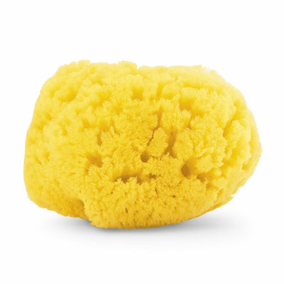 Spugna Marina Naturale Chicco