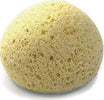 Spugna Suavinex Fibra Naturale Prima infanzia/Igiene e benessere/Bagnetto/Spugne e guanti La Casa Del Bebè - Napoli, Commerciovirtuoso.it