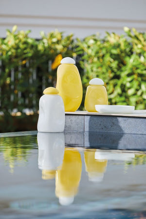 Maison Sucrée Set Vaso e Svuota tasche in Vetro Squero 2504S